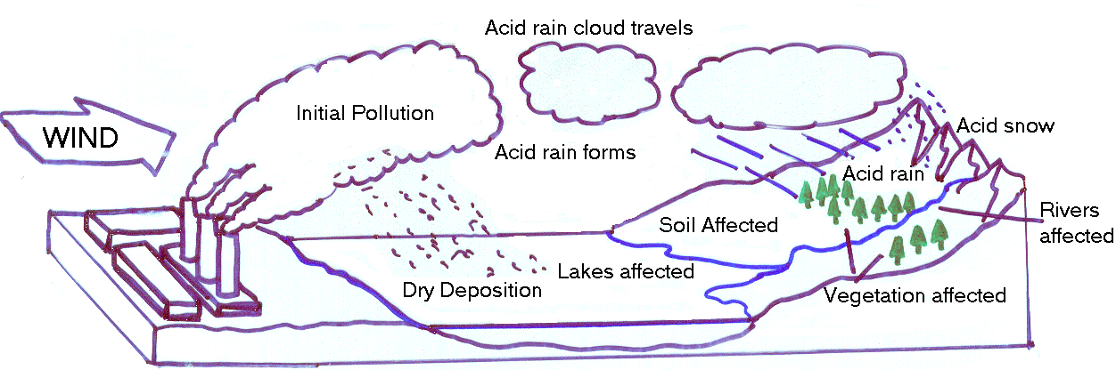 Acid rain перевод 7 класс. Acid Rain. Кислотные дожди. Acid Rain Effects. Кислотный дождь рисунок.